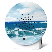 Verbesserter Klang - Zwitscherbox Oceanbox Limited Edition Spring 24 - Blue Atlantic