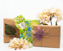Zwitscherbox - als Geschenk verpackt