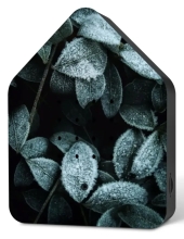 NEU - Zwitscherbox Classic inkl. Saugnapf - Celebrate Winter Frosty Leaves