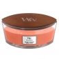 Mobile Preview: WOODWICK Ellipse Candle - Tamarind & Stonefruit