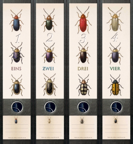 File Art Ordnerrücken  -  Beetles