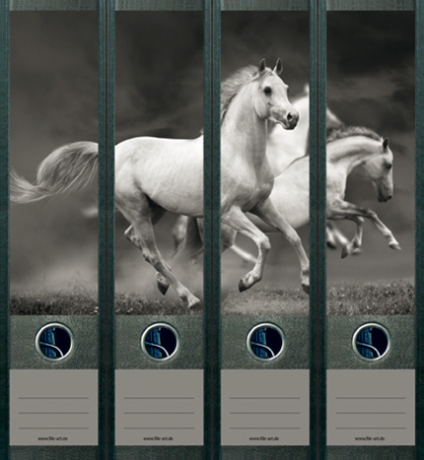 File Art Ordnerrücken  - White Horses