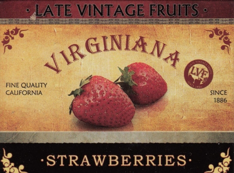 Magnetschild - Late Vintage Fruits Strawberries