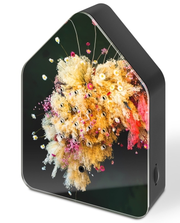 NEU - Zwitscherbox Poppykalas Edition - Floral Sky