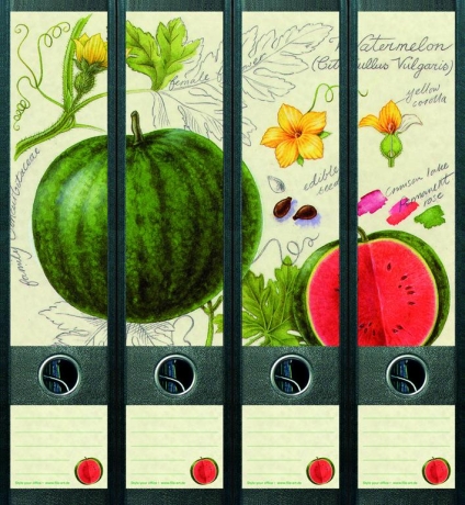 File Art Ordnerrücken  - Water Melon
