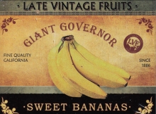 Magnetschild - Late Vintage Fruits Sweet Bananas