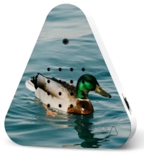 NEU - Lakesidebox / Zwitscherbox inkl. Saugnapf - Happy Birds Wild Duck